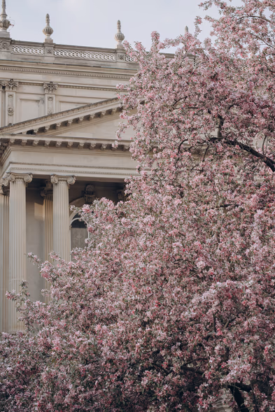 Osgoode Hall wedding photos
